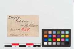 Etiketten zu Bronzenadel (NHMW-PRAE-024969)